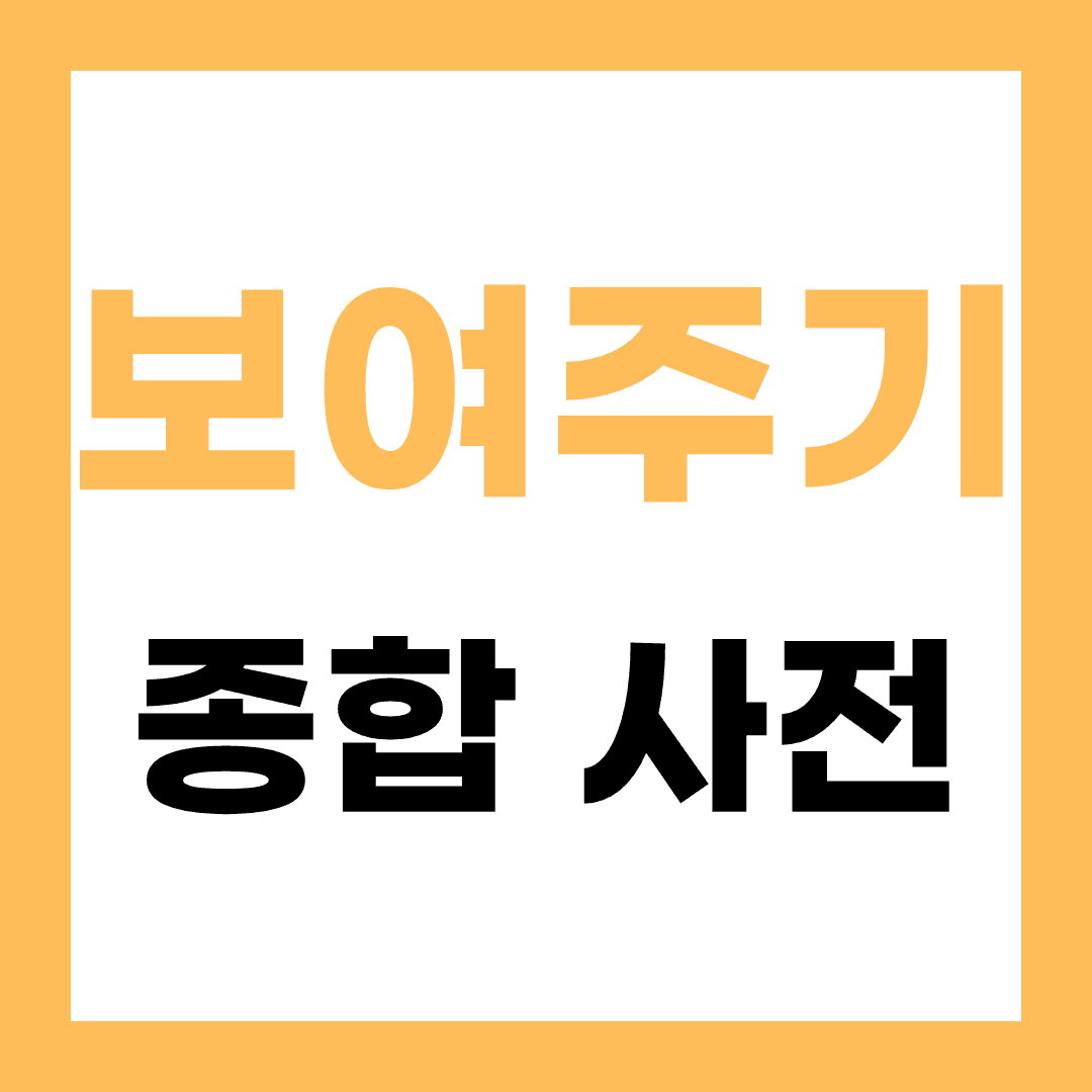 보여주기 종합 사전